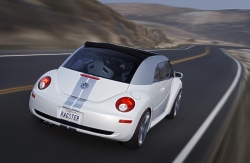 Beetle Ragster