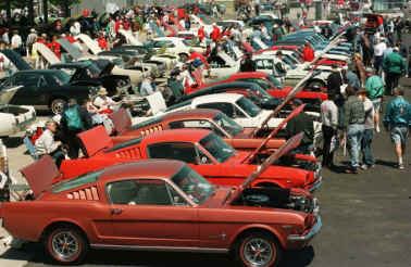 35th Anniversary Mustang