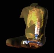 Lear-Lifeform-TM-Occupant Simulator